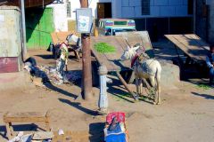 Egypt - Esna - Street view