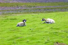 England - Yorkshire Dales