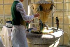 England - Bath - The Roman Baths