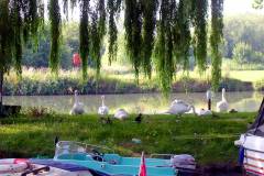 England - Cotswolds - Lechlade - The River Thames