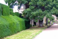 England - Cotswolds - Sudeley Castle