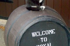 Scotland - Aberdeenshire - Royal Lochnagar Distillery & Visitors Centre
