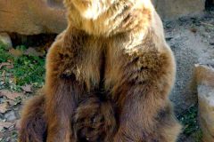 Spain - Barcelona - Zoo
