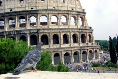 Italy - Roma - Collosseum