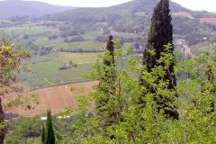 Italy - Toscana - Montepulciano