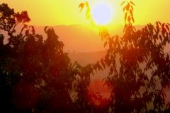 Italy - Toscana - Bettolle
