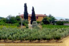 Italy - Toscana - Notolle hospital