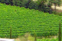 Italy - Toscana - Notolle hospital