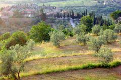 Italy - Toscana - Cortona