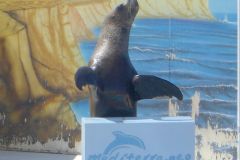 Malta - Mediterraneo Marine Park