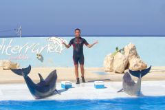 Malta - Mediterraneo Marine Park