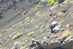 Italy - Sicilia - Etna