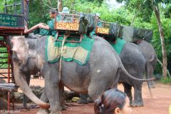 Cambodia - Angkor - Phnom Bakheng