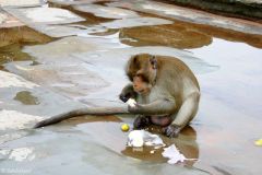 Cambodia - Angkor Wat