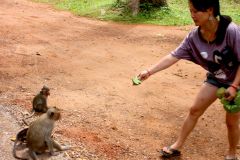 Cambodia - Angkor