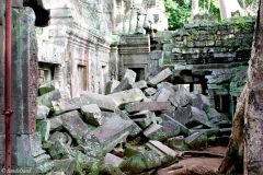Cambodia - Angkor - Ta Prohm