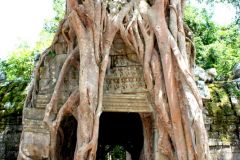 Cambodia - Angkor - Ta Som