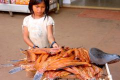 Cambodia - Road from Siem Reap to Phnom Penh