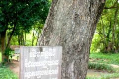 Cambodia - Phnom Penh - Choeung Ek - Killing Fields