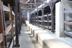 Poland - Krakow - Auschwitz - Birkenau Concentration Camp