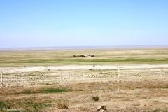 Mongolia - On the train