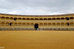 Spain - Andalucia - Ronda - Plaza de Toros