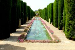 Spain - Andalucia - Cordoba - Jardines del Alcázar