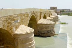 Spain - Andalucia - Cordoba - Puente Romano