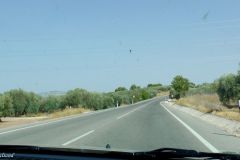 Spain - Andalucia - On the road to Granada