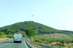 Spain - Andalucia - On the road to Granada