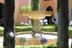 Spain - Andalucia - Granada - Alhambra - Nasrid Palace