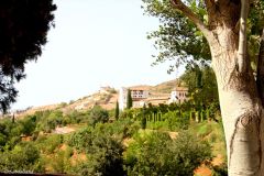 Spain - Andalucia - Granada - Alhambra - Generalife