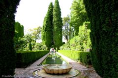 Spain - Andalucia - Granada - Alhambra - Generalife