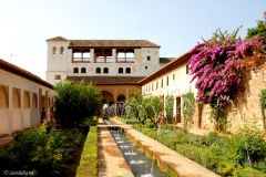 Spain - Andalucia - Granada - Alhambra - Generalife