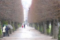 Denmark - Copenhagen - Kongens Have