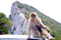 Gibraltar