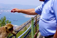 Gibraltar - The Rock