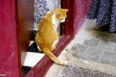 Morocco - Tangier