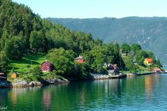 Sogn og Fjordane - Lærdal - Sognefjorden - Ferjesambandet Kaupanger-Gudvangen - Frønningen