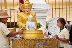 Myanmar - Yangon - Shwedagon Paya