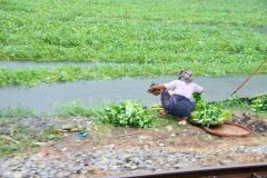 Myanmar - Yangon-Mandalay Train