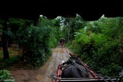 Myanmar - Inwa
