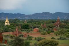 Myanmar - Bagan - View from Shwegugyi Pahto (Thatbyinnyu Temple)