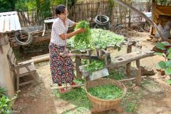 Myanmar - Bagan - Minnanthu village