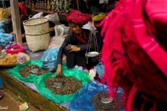 Myanmar - Inle Lake - Inthein - Market