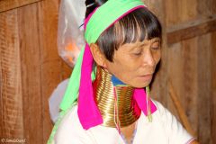 Myanmar - Inle Lake - Giraffe necks