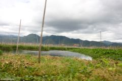 Myanmar - Inle Lake