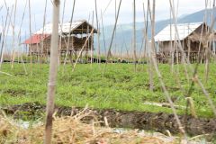 Myanmar - Inle Lake