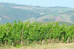 Portugal - Douro region