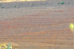 Portugal - Douro region